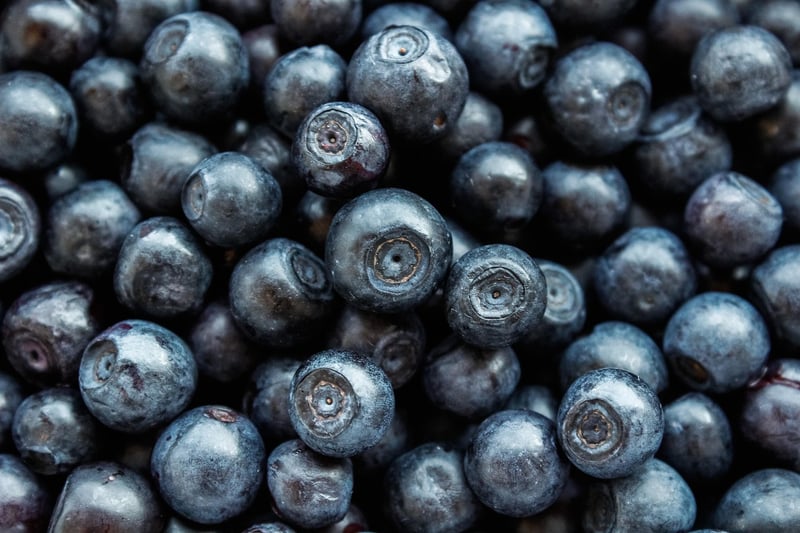 Forest Berry Salad