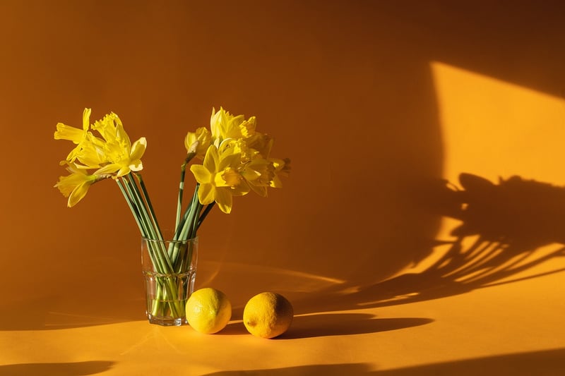 Mystical Centerpiece