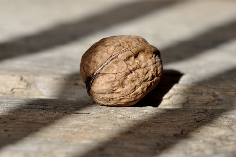 Nuts